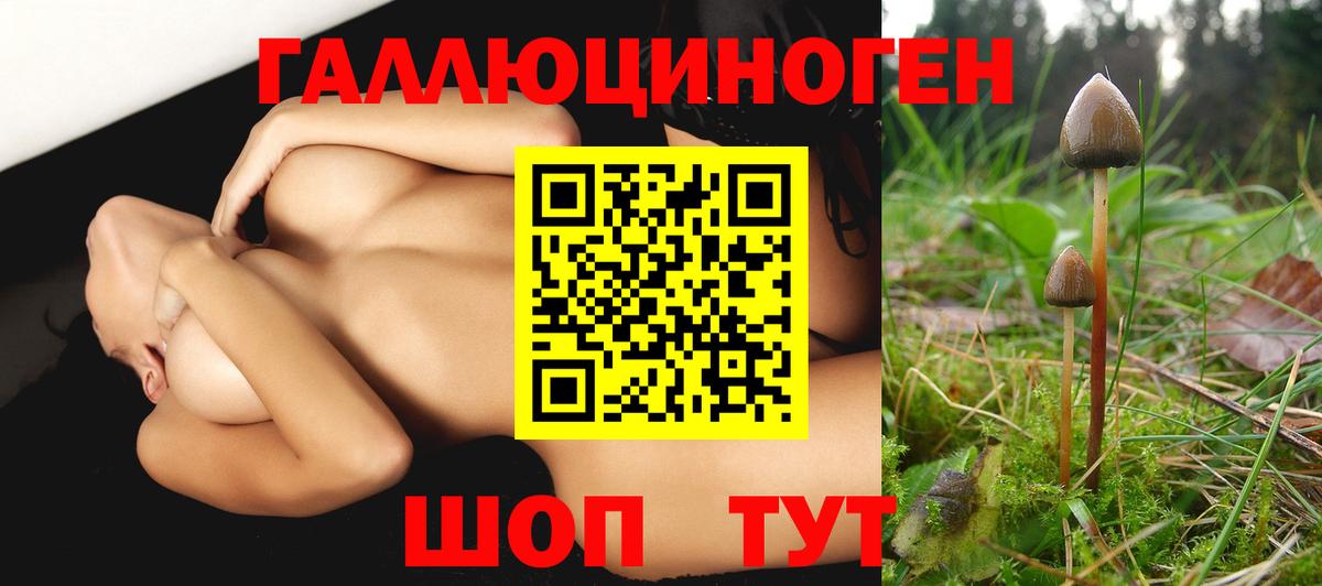 Новоуральск  Галлюциногенные грибы прущие грибы  Вход с VPN 