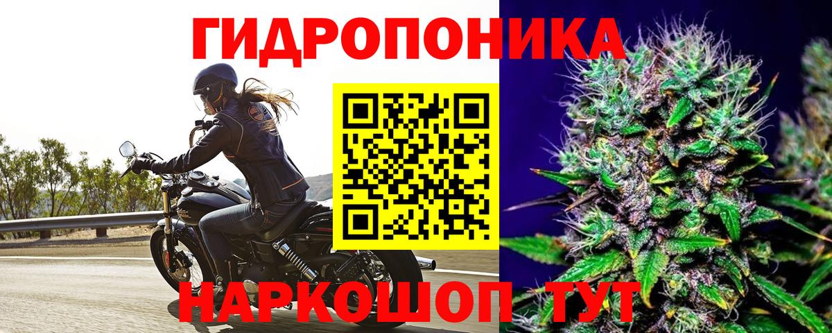 Конопля ГИДРОПОН Новоуральск